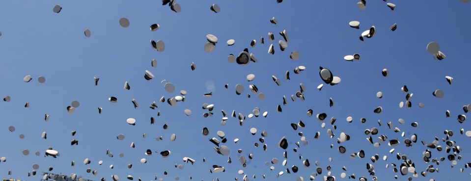 http://upload.wikimedia.org/wikipedia/commons/7/73/Traditional_hat_toss_celebration_at_graduation_from_United_States_Naval_Academy.jpg